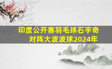 印度公开赛羽毛球石宇奇对阵大波波球2024年