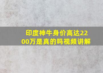 印度神牛身价高达2200万是真的吗视频讲解