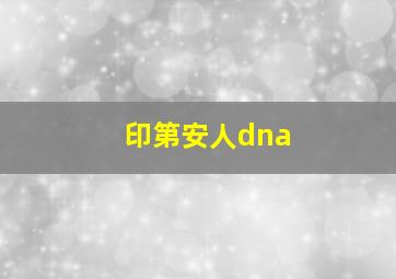 印第安人dna