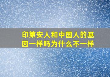 印第安人和中国人的基因一样吗为什么不一样