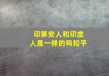 印第安人和印度人是一样的吗知乎