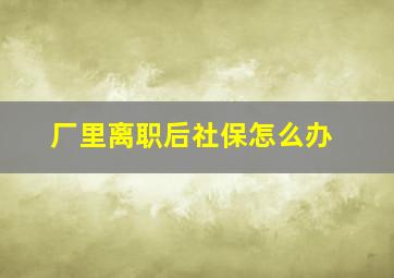 厂里离职后社保怎么办