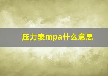 压力表mpa什么意思