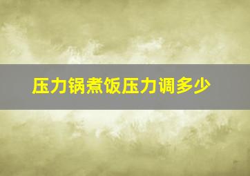 压力锅煮饭压力调多少