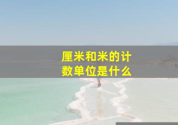 厘米和米的计数单位是什么