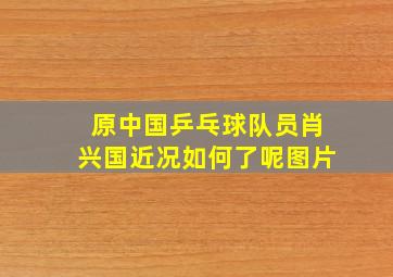 原中国乒乓球队员肖兴国近况如何了呢图片