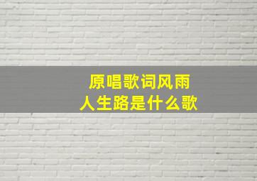 原唱歌词风雨人生路是什么歌