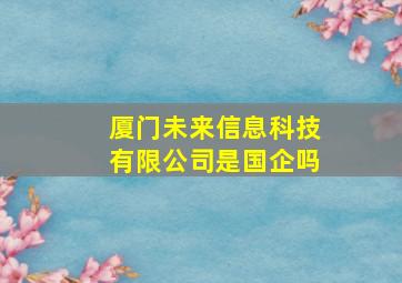 厦门未来信息科技有限公司是国企吗