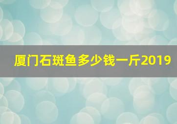 厦门石斑鱼多少钱一斤2019