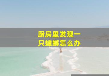 厨房里发现一只蟑螂怎么办