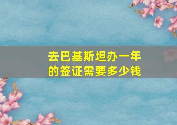 去巴基斯坦办一年的签证需要多少钱