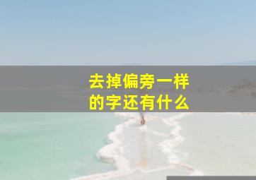 去掉偏旁一样的字还有什么