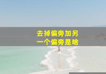 去掉偏旁加另一个偏旁是啥