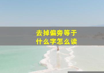 去掉偏旁等于什么字怎么读