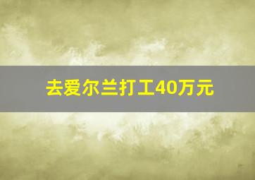 去爱尔兰打工40万元