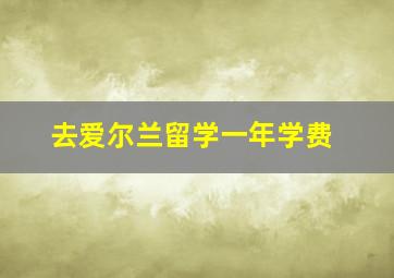 去爱尔兰留学一年学费