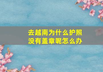 去越南为什么护照没有盖章呢怎么办