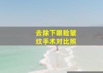 去除下眼睑皱纹手术对比照