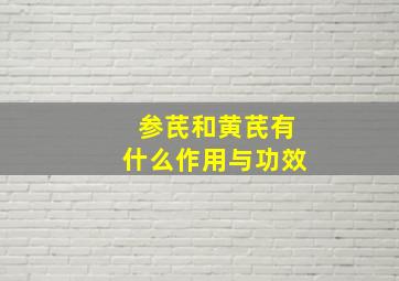 参芪和黄芪有什么作用与功效