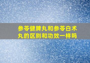 参苓健脾丸和参苓白术丸的区别和功效一样吗