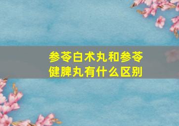 参苓白术丸和参苓健脾丸有什么区别