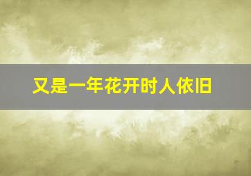 又是一年花开时人依旧