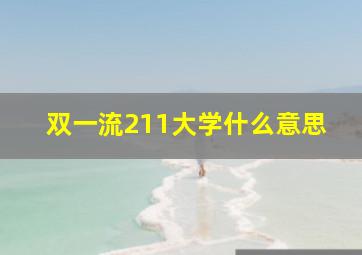 双一流211大学什么意思