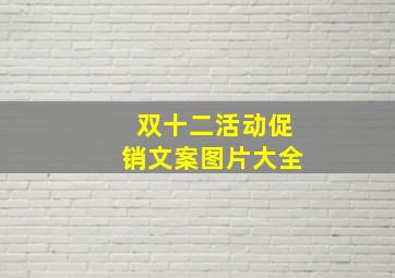 双十二活动促销文案图片大全