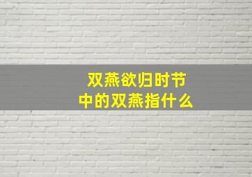 双燕欲归时节中的双燕指什么