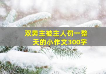 双男主被主人罚一整天的小作文300字