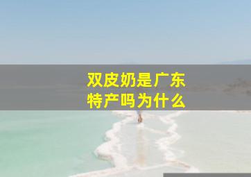 双皮奶是广东特产吗为什么