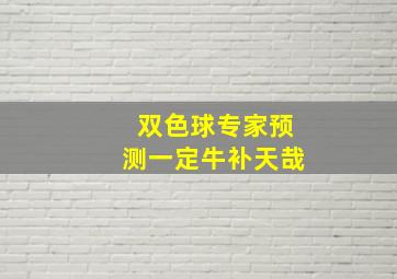 双色球专家预测一定牛补天哉