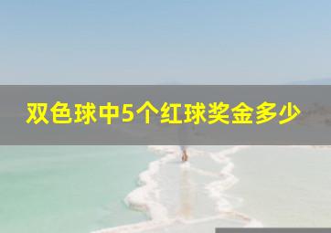 双色球中5个红球奖金多少