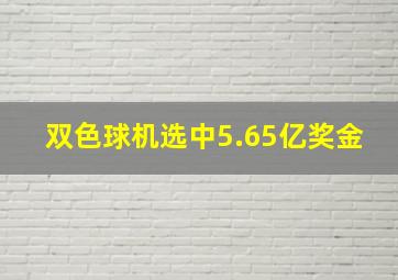 双色球机选中5.65亿奖金