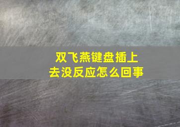 双飞燕键盘插上去没反应怎么回事