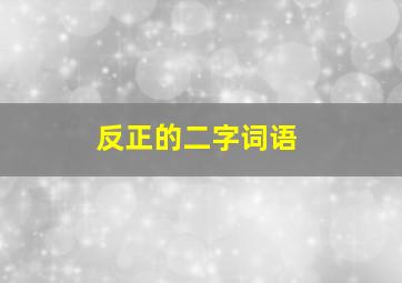 反正的二字词语