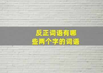 反正词语有哪些两个字的词语