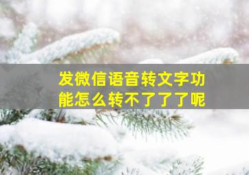 发微信语音转文字功能怎么转不了了了呢