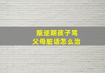 叛逆期孩子骂父母脏话怎么治