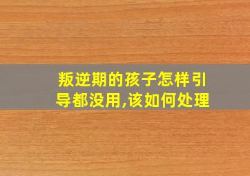 叛逆期的孩子怎样引导都没用,该如何处理