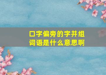 口字偏旁的字并组词语是什么意思啊