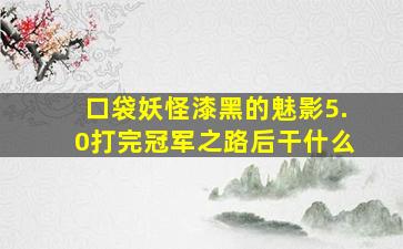 口袋妖怪漆黑的魅影5.0打完冠军之路后干什么