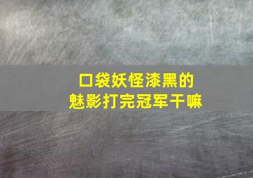 口袋妖怪漆黑的魅影打完冠军干嘛