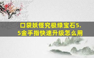 口袋妖怪究极绿宝石5.5金手指快速升级怎么用