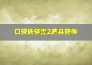 口袋妖怪黑2道具获得