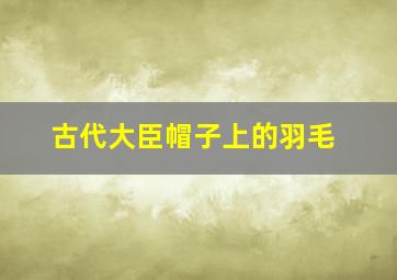 古代大臣帽子上的羽毛