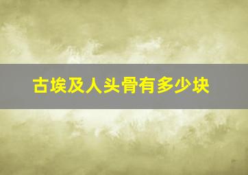 古埃及人头骨有多少块