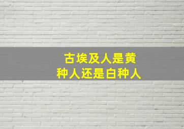 古埃及人是黄种人还是白种人