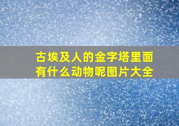 古埃及人的金字塔里面有什么动物呢图片大全