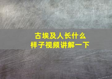 古埃及人长什么样子视频讲解一下